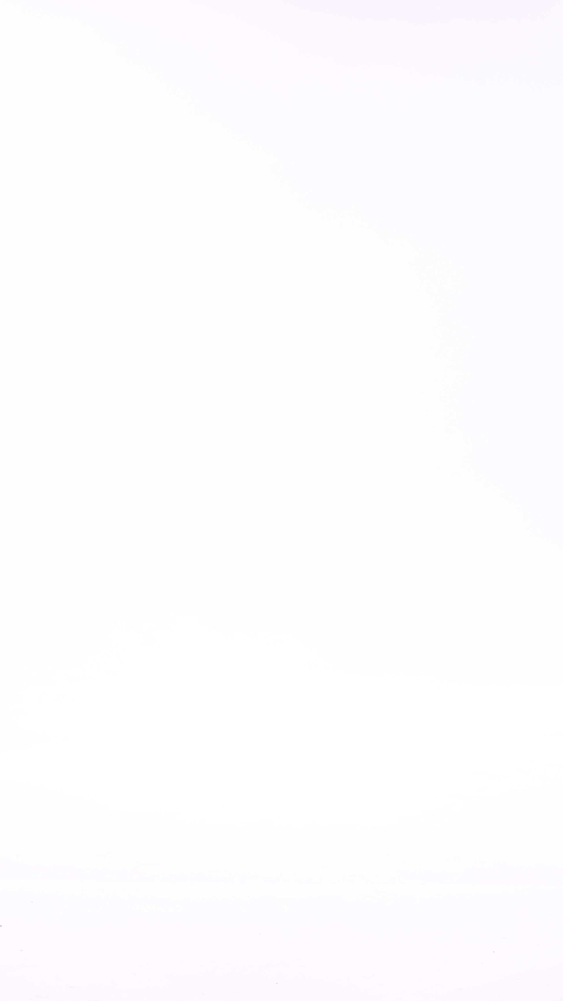 Halter Swimsuit | Black/Tawny - video