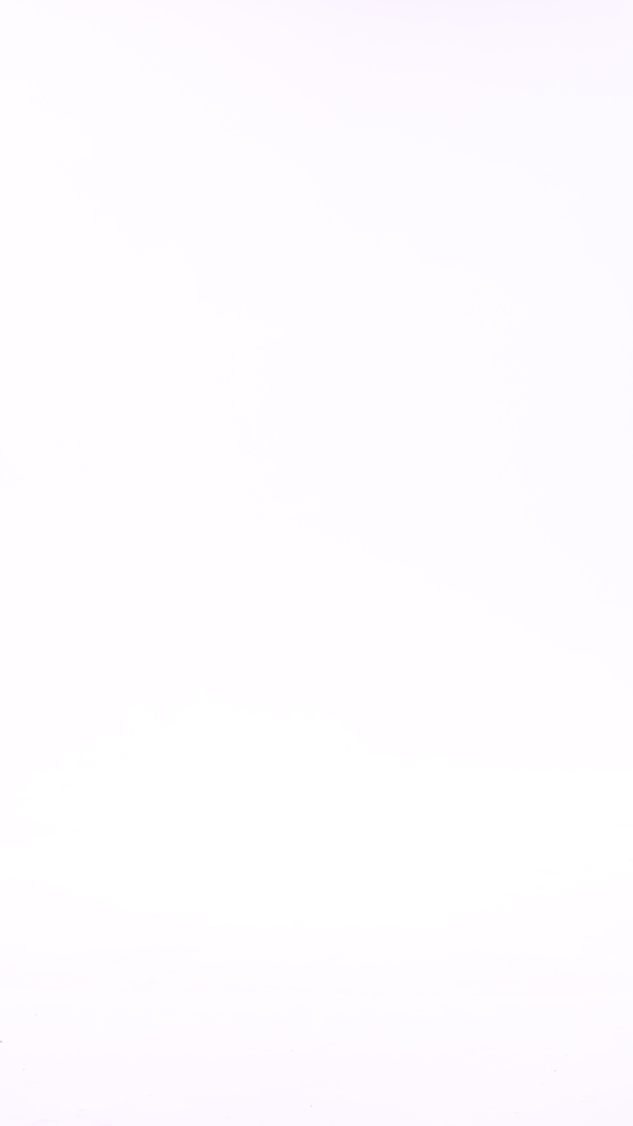 Halter Swimsuit | Black/Tawny - video