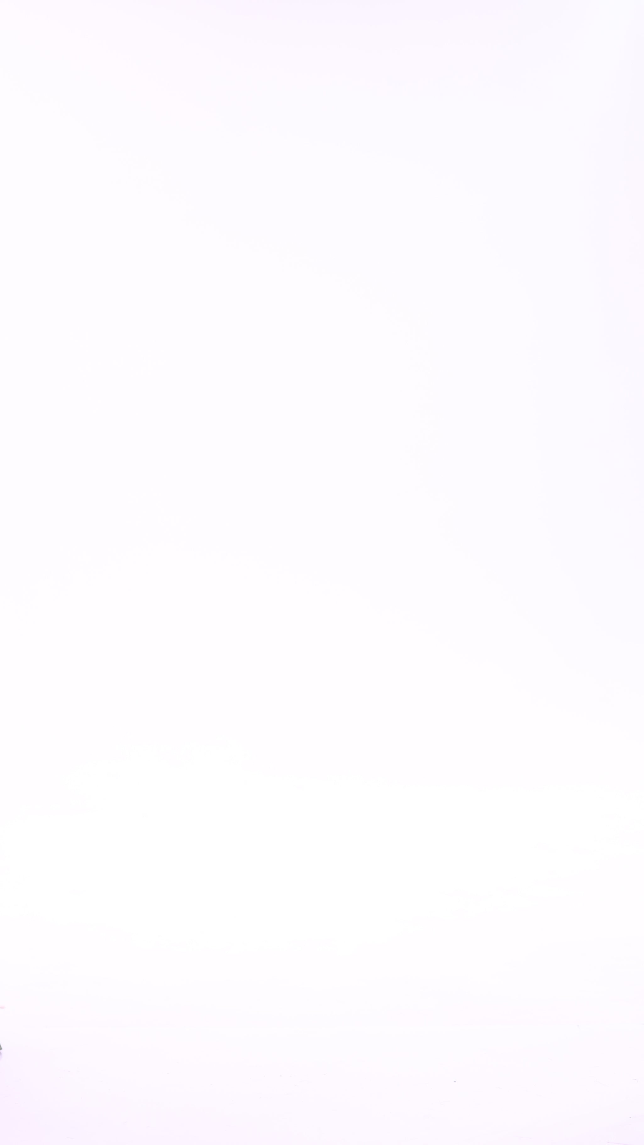 Pareo Squares Circus | Rust - video