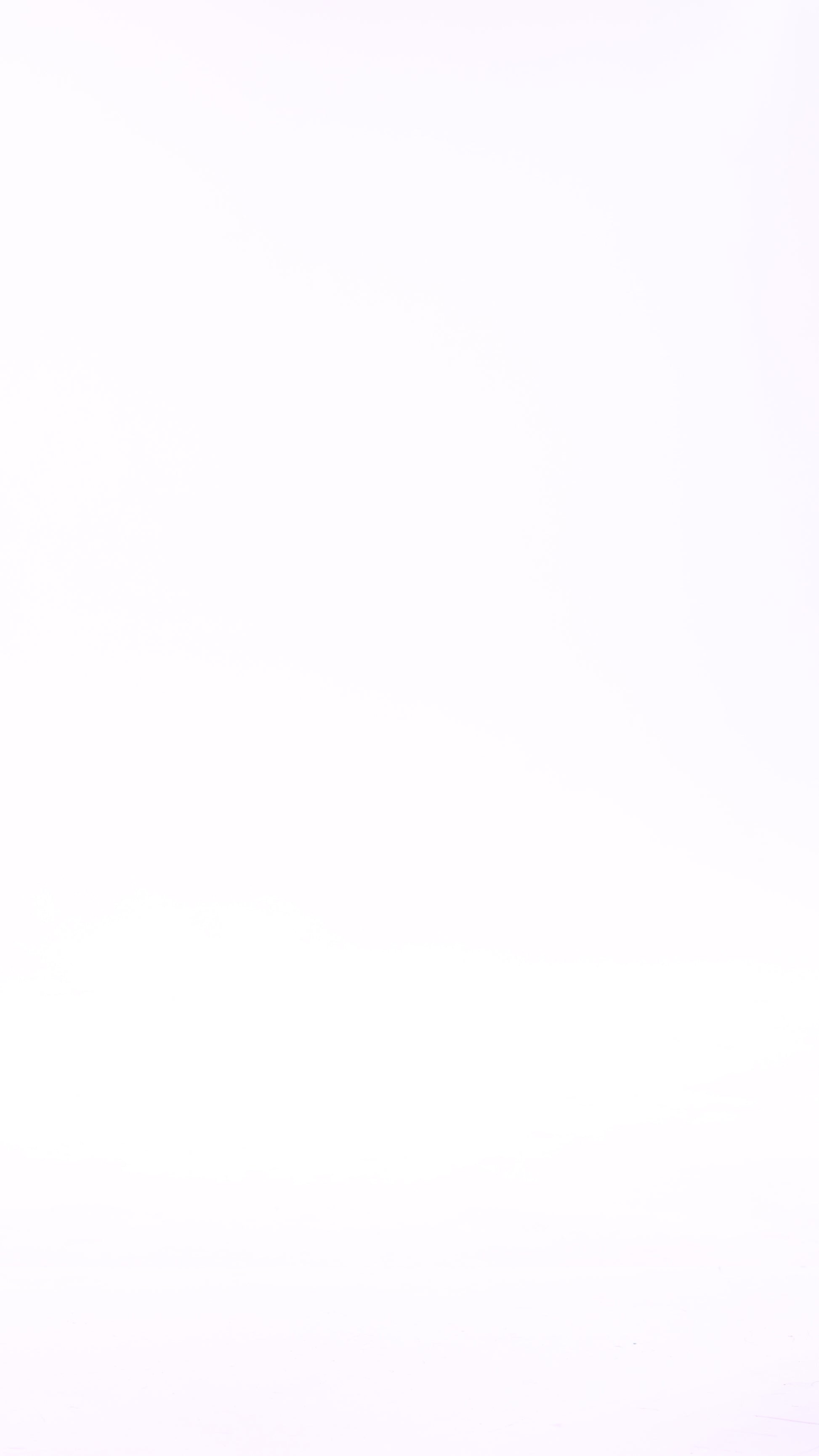 Ruffle Shorts | Mustard - video