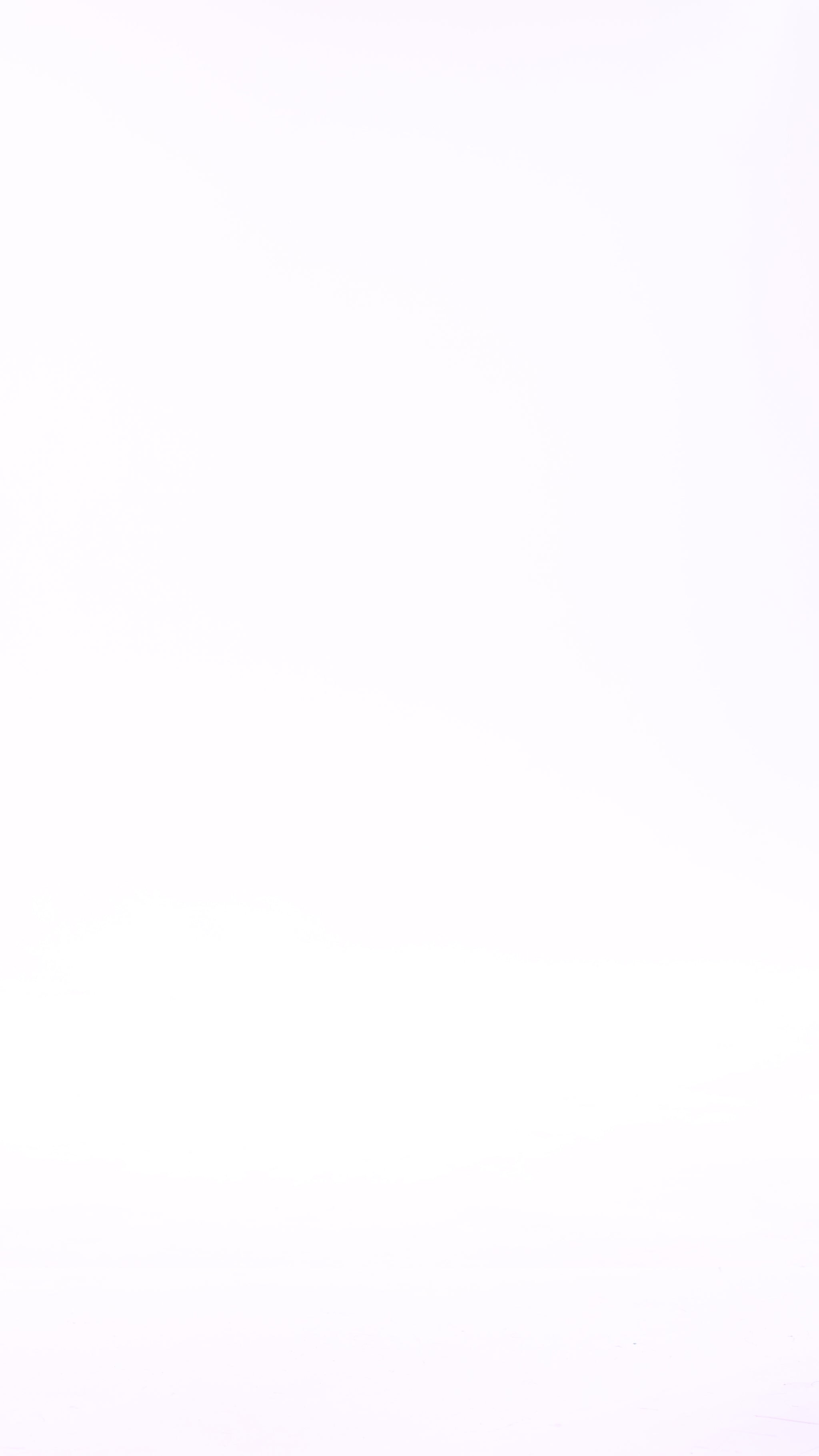 Ruffle Shorts | Mustard - video